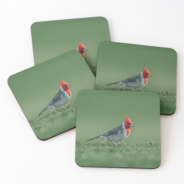 Item preview, Red Crested Cardinal Hawaiian Bird Nature Lover designed and sold by KadababB87.