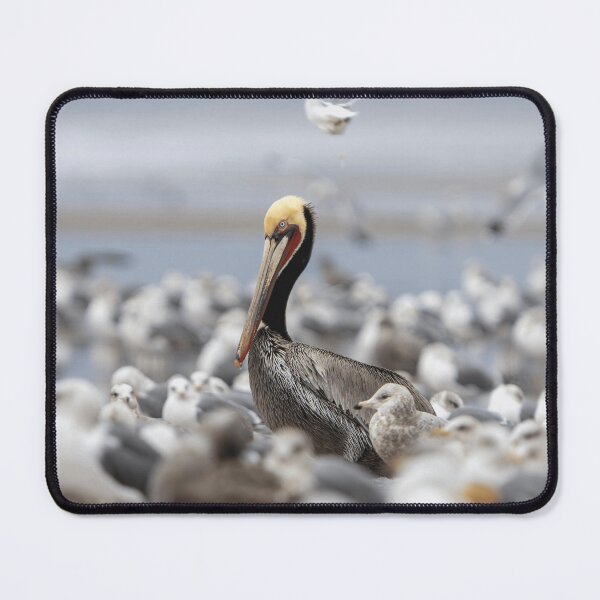 Item preview, Pelican Beach Bird Ocean Wildlife Nature designed and sold by KadababB87.