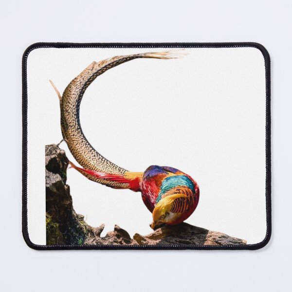 Item preview, Pheasant designed and sold by di-Vera-Rosati.