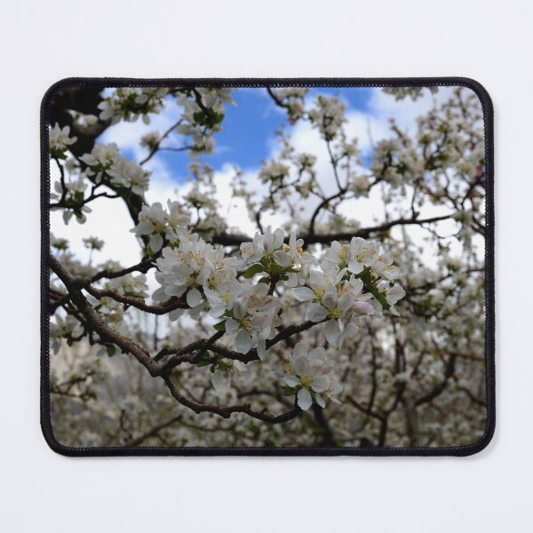 Item preview, Spring Blossom Orchard in Bloom designed and sold by onubi.