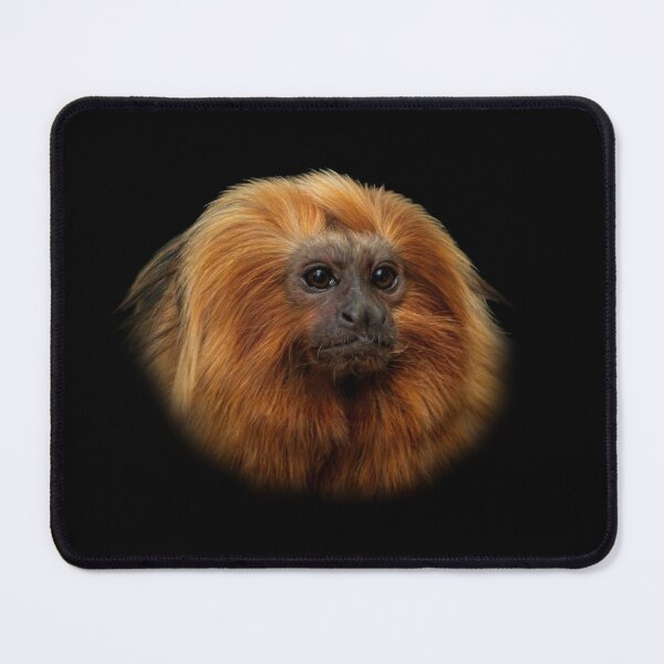 Item preview, Golden Lion Tamarin designed and sold by Guardi71.