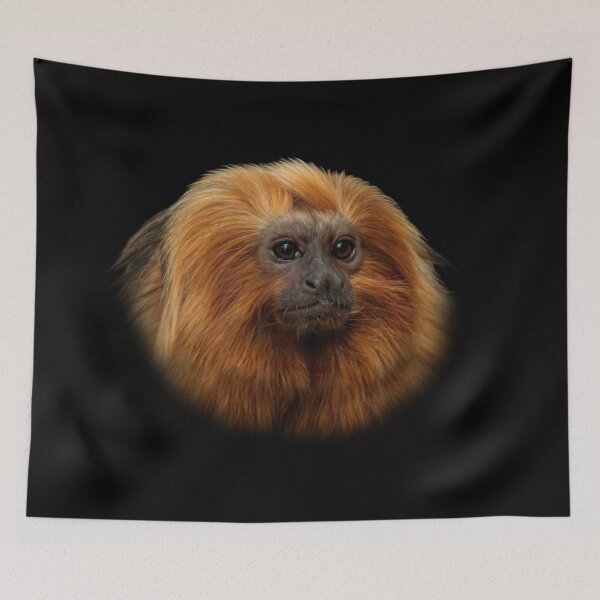 Item preview, Golden Lion Tamarin designed and sold by Guardi71.
