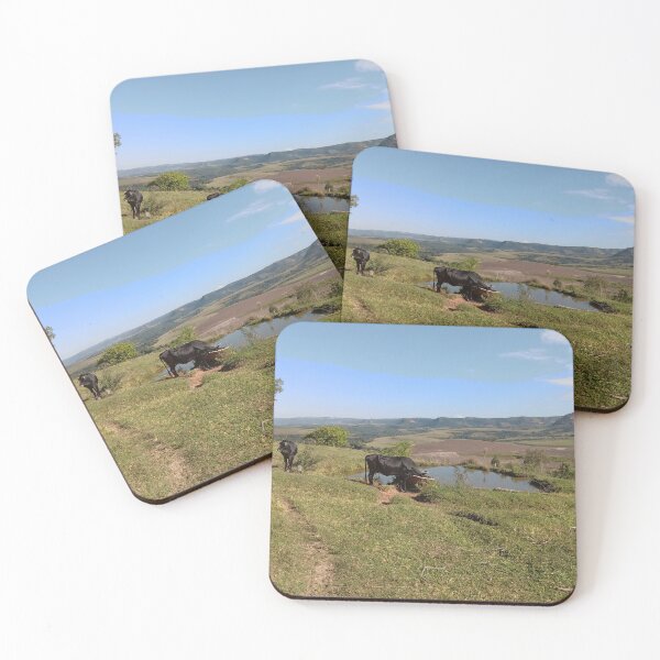 Item preview, Cows Drink At Scenic Mountain Pasture Pond designed and sold by André Ramos Ielo.