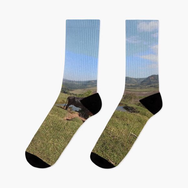 Item preview, Cows Drink At Scenic Mountain Pasture Pond designed and sold by André Ramos Ielo.