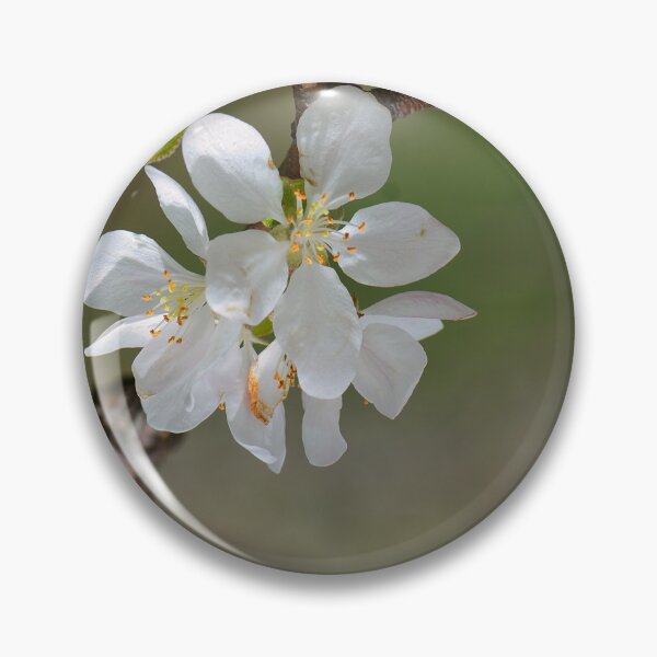 Item preview, Apple Blossom Close-Up in Spring designed and sold by onubi.