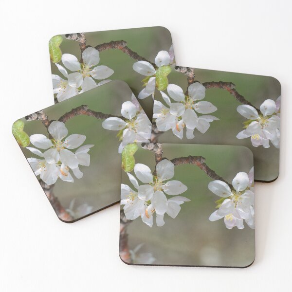 Item preview, Apple Blossom Close-Up in Spring designed and sold by onubi.