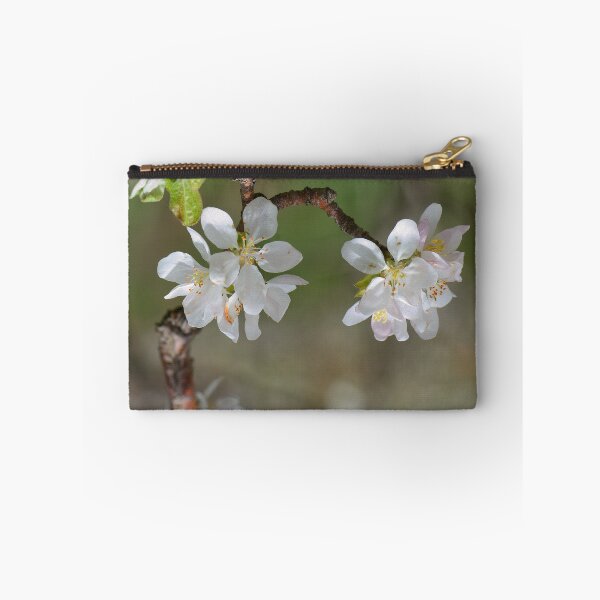Item preview, Apple Blossom Close-Up in Spring designed and sold by onubi.