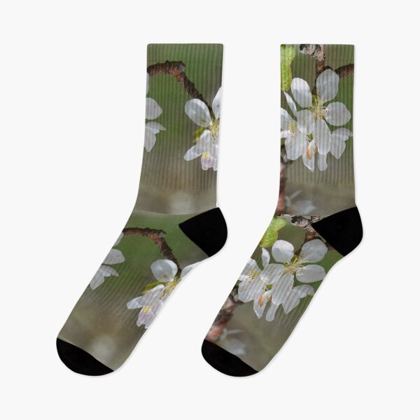 Item preview, Apple Blossom Close-Up in Spring designed and sold by onubi.