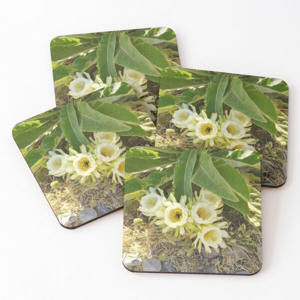 Item preview, Desert blooms designed and sold by JessParkerPMP.