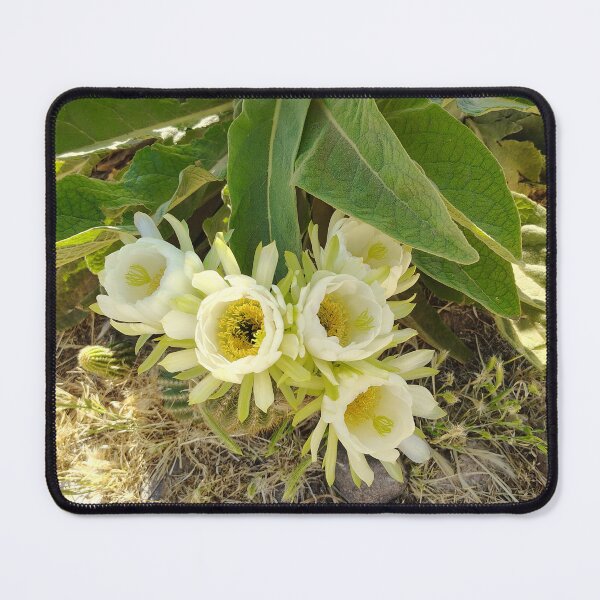 Item preview, Desert blooms designed and sold by JessParkerPMP.