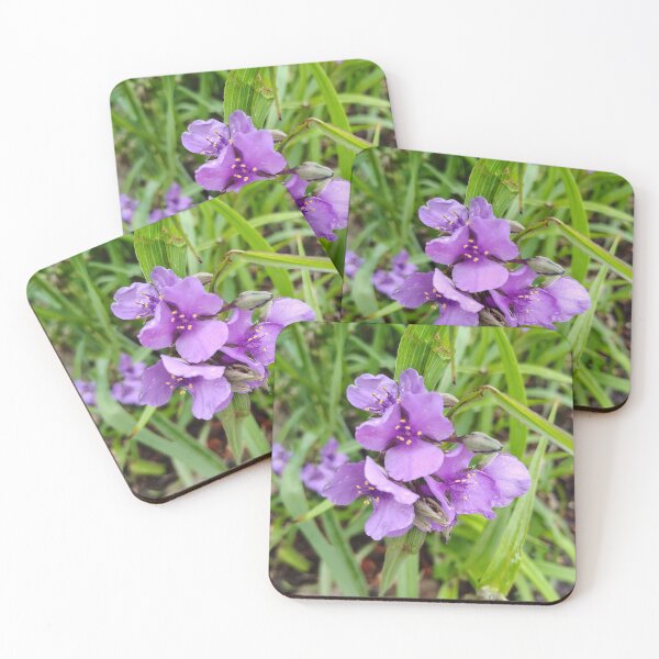 Item preview, Virginia Spiderwort at the US Botanic Garden designed and sold by JessParkerPMP.
