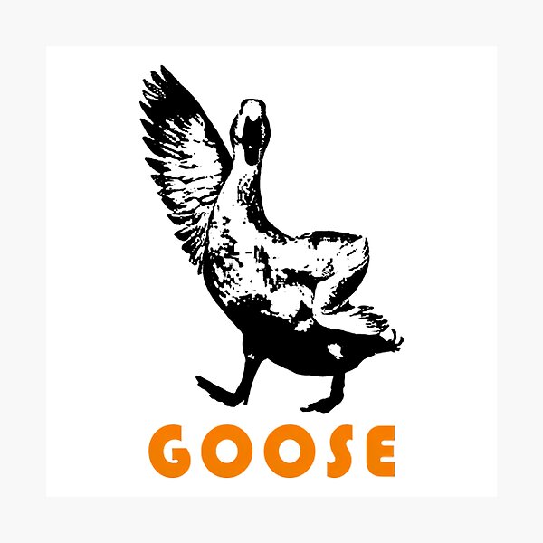 Item preview, Goose Band Fanmade Art designed and sold by Hanhnguyensen.