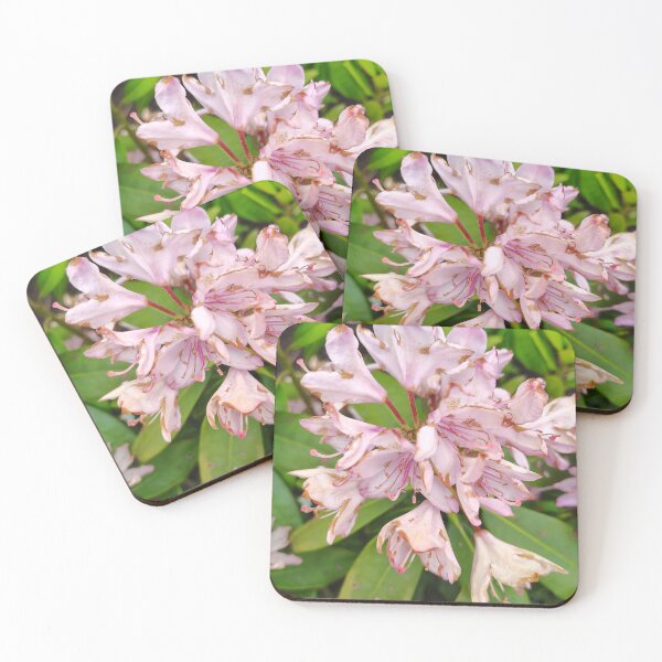 Item preview, Pink Rhododendron at the US Botanic Garden designed and sold by JessParkerPMP.