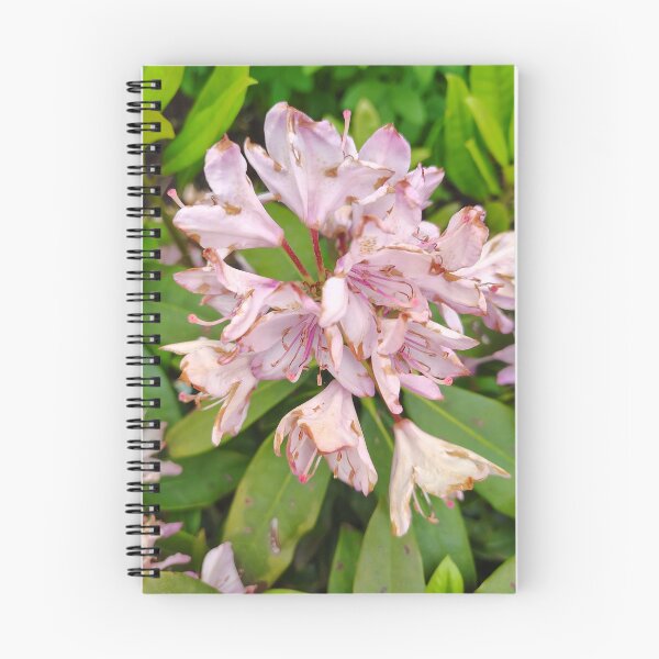 Item preview, Pink Rhododendron at the US Botanic Garden designed and sold by JessParkerPMP.