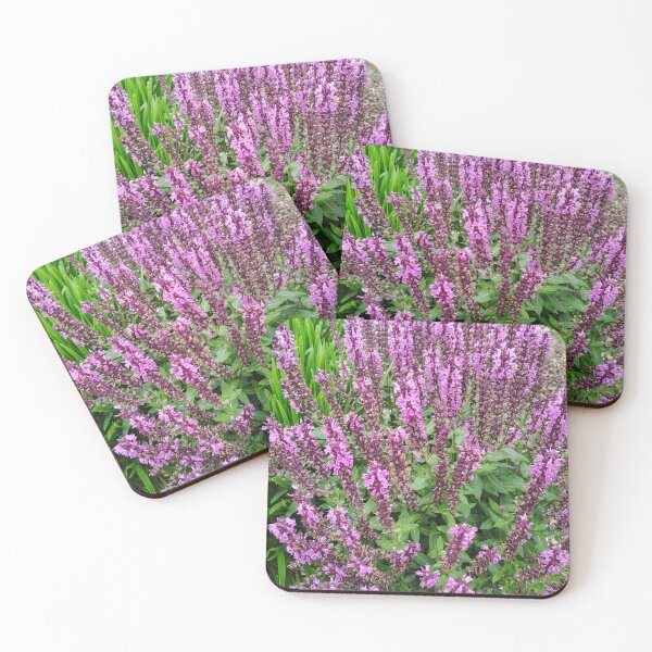 Item preview, Purple Woodland Sage Spikes at the US Botanic Garden designed and sold by JessParkerPMP.