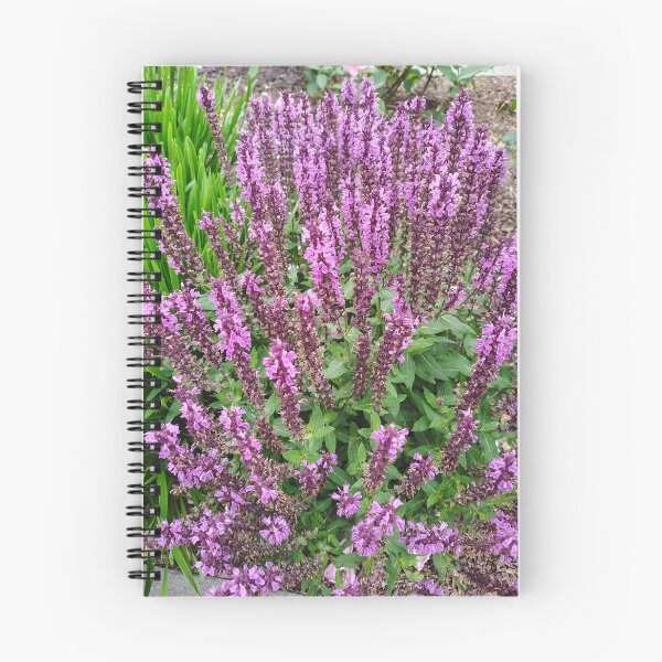 Item preview, Purple Woodland Sage Spikes at the US Botanic Garden designed and sold by JessParkerPMP.