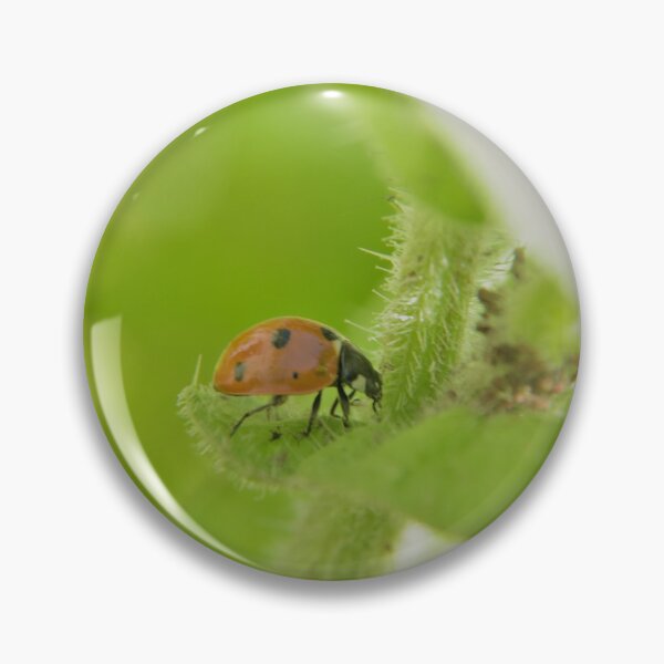 Item preview, ladybug designed and sold by machaphoto.