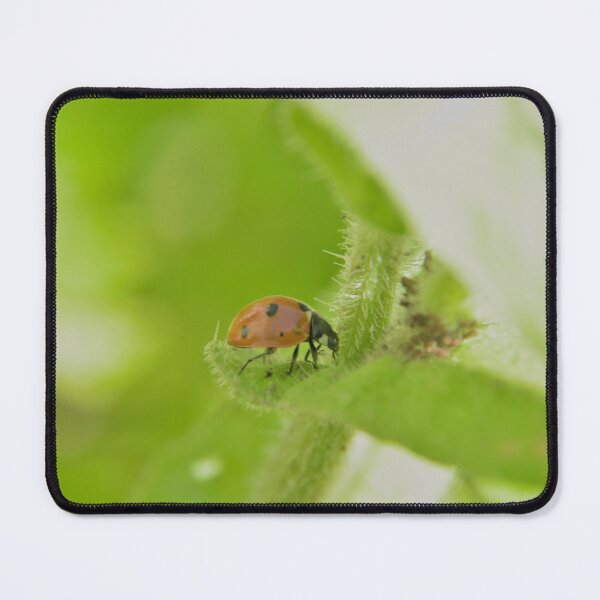 Item preview, ladybug designed and sold by machaphoto.