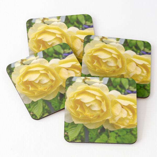 Item preview, Yellow Garden Roses at the US Botanic Garden designed and sold by JessParkerPMP.