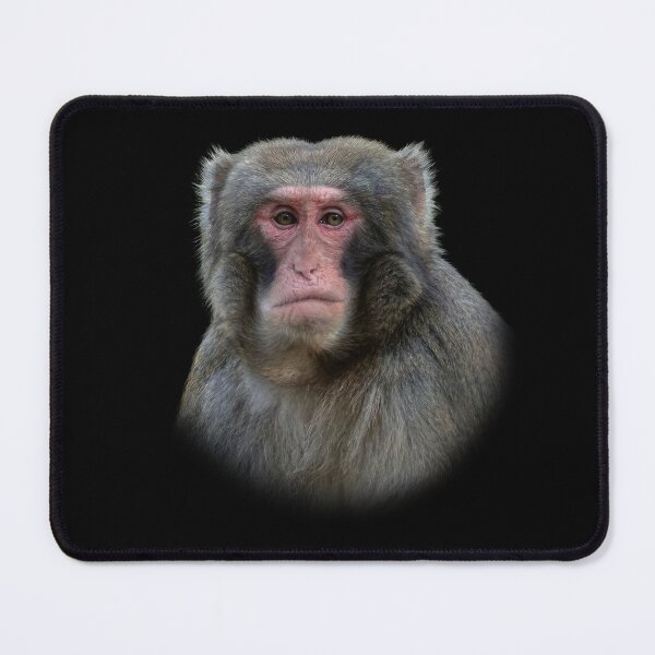 Item preview, Rhesus Macaque designed and sold by Guardi71.