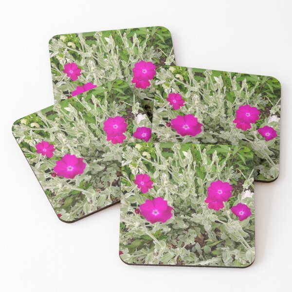 Item preview, Rose Campion Blooms at the US Botanic Garden designed and sold by JessParkerPMP.