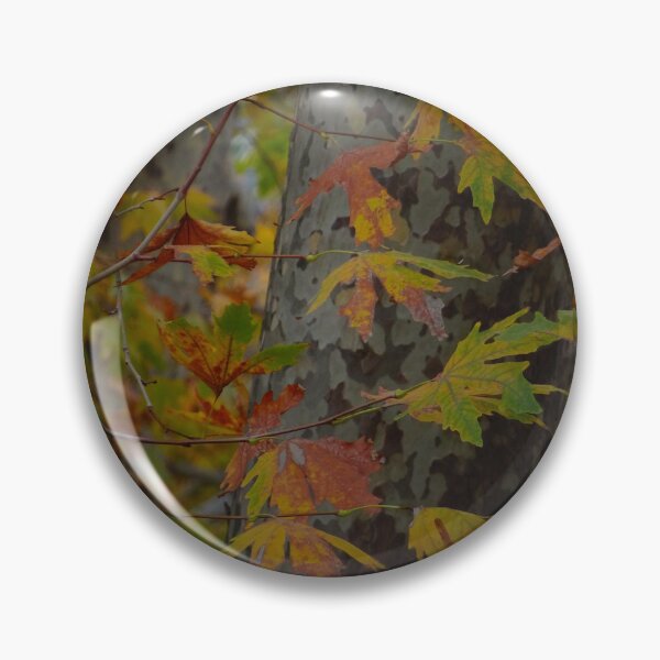 Item preview, Autumn Maple Leaves in Forest Light designed and sold by onubi.