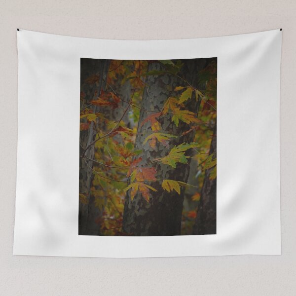 Item preview, Autumn Maple Leaves in Forest Light designed and sold by onubi.