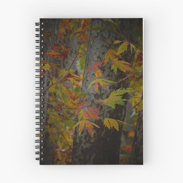 Item preview, Autumn Maple Leaves in Forest Light designed and sold by onubi.