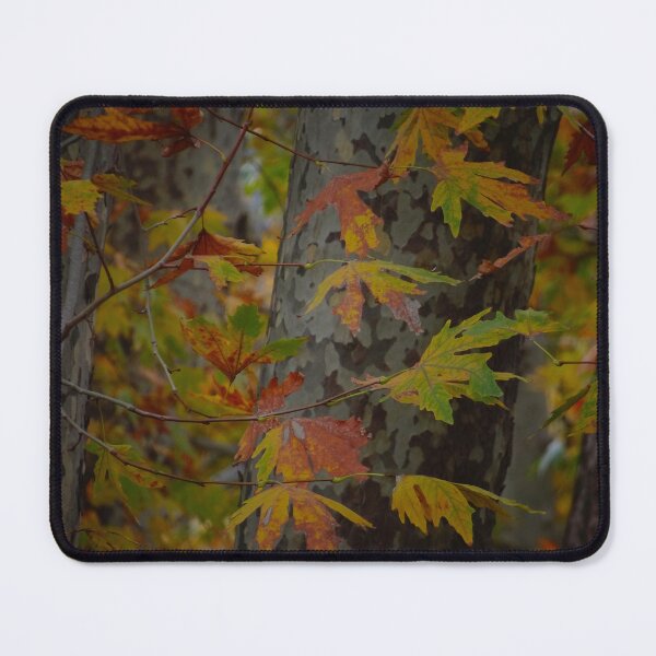 Item preview, Autumn Maple Leaves in Forest Light designed and sold by onubi.