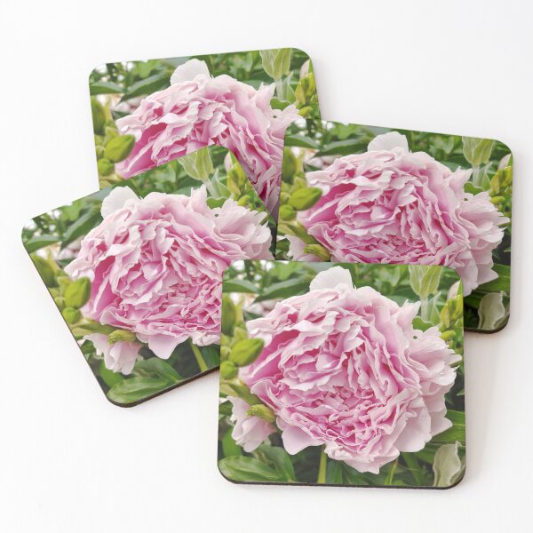 Item preview, Pink Tree Peony at the US Botanic Garden designed and sold by JessParkerPMP.