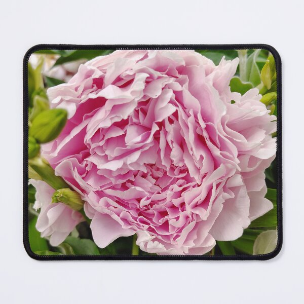 Item preview, Pink Tree Peony at the US Botanic Garden designed and sold by JessParkerPMP.