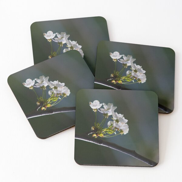 Item preview, Cherry Blossoms in Soft Morning Light designed and sold by onubi.