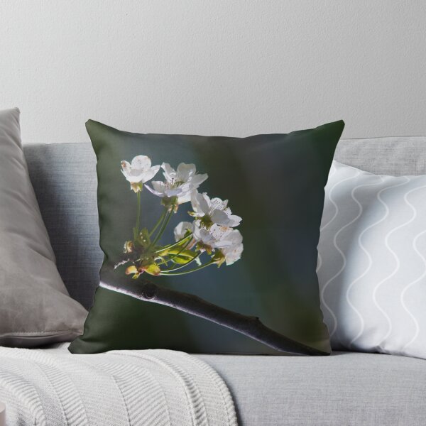 Item preview, Cherry Blossoms in Soft Morning Light designed and sold by onubi.