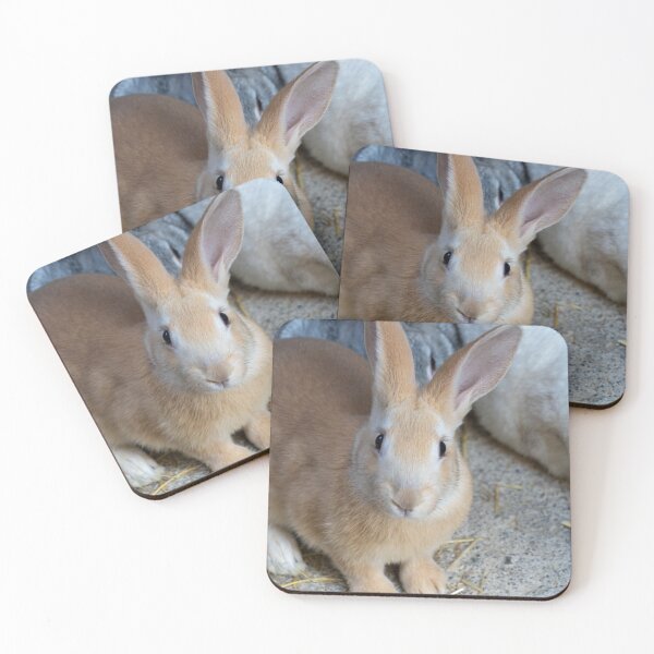 Item preview, A rabbit with its ears perked up looking at the camera. designed and sold by elopezstock.