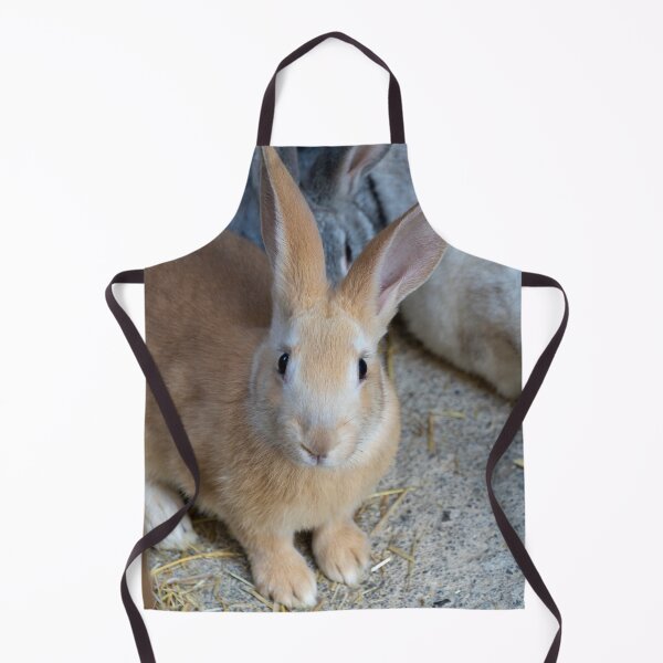 Item preview, A rabbit with its ears perked up looking at the camera. designed and sold by elopezstock.