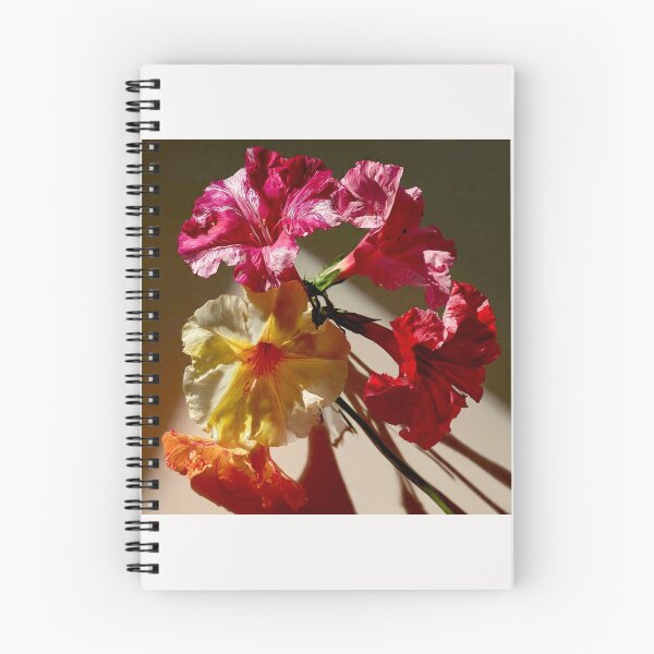 Item preview, Mirabilis Jalapa – Whispers of Color and Light #1 designed and sold by Helios Be. Lavsh.