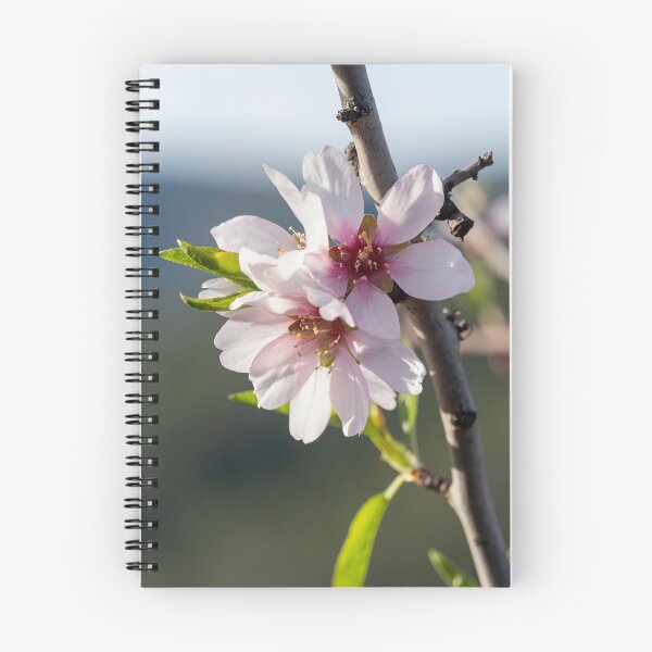 Item preview, A single pink flower is on a branch. designed and sold by elopezstock.