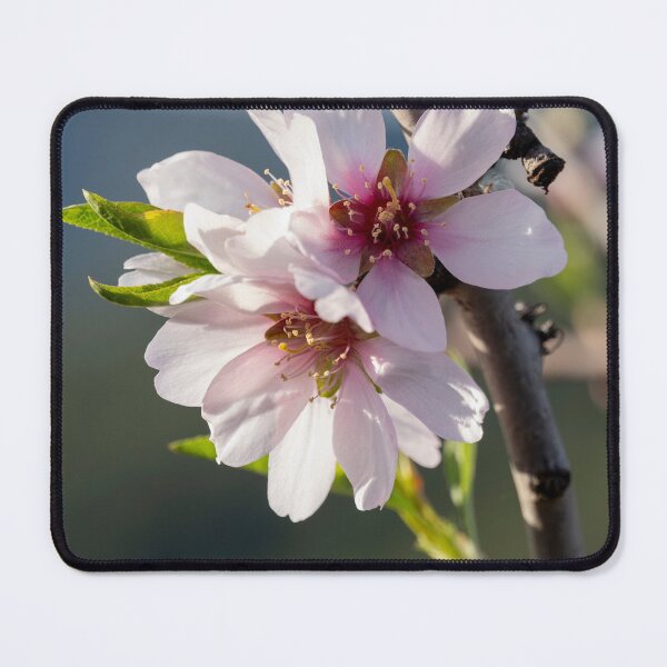 Item preview, A single pink flower is on a branch. designed and sold by elopezstock.