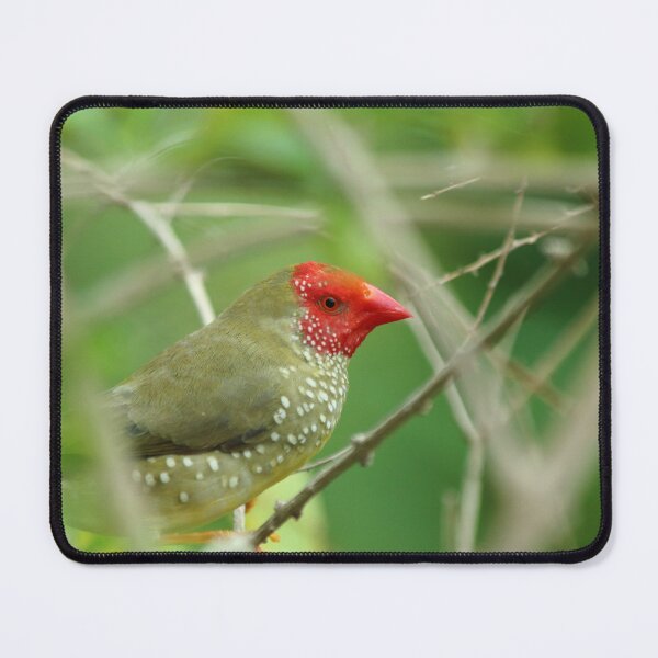 Item preview, Red Faced designed and sold by Olivia Plasencia.
