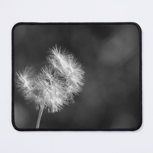 Item preview, Used Wishes designed and sold by Olivia Plasencia.
