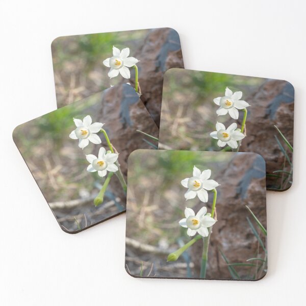 Item preview, Two white flowers are next to a rock. designed and sold by elopezstock.