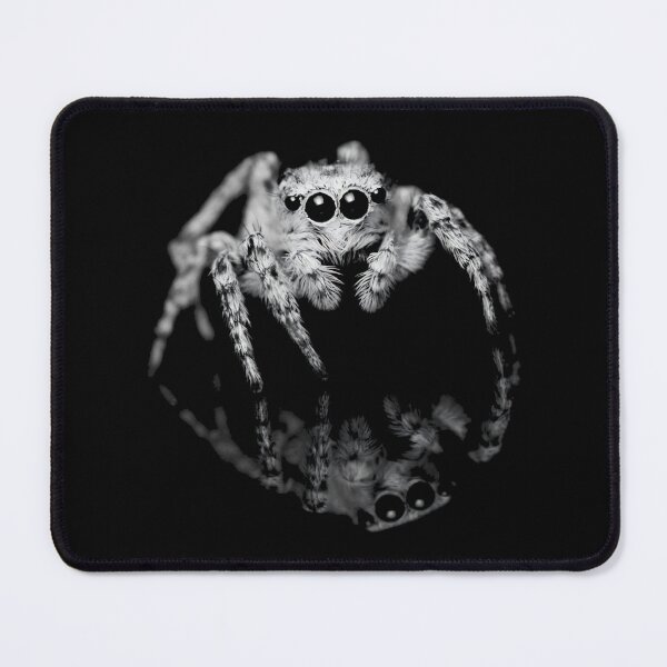 Item preview, White Jumping Spider Art designed and sold by NF Designs Studio DTF.