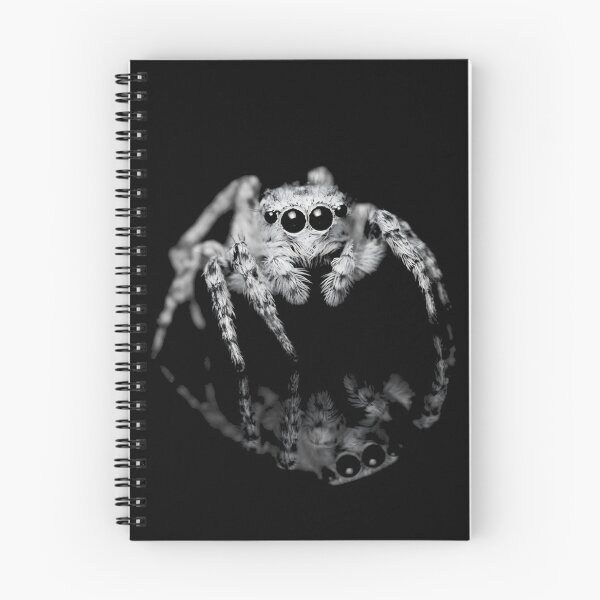 Item preview, White Jumping Spider Art designed and sold by NF Designs Studio DTF.