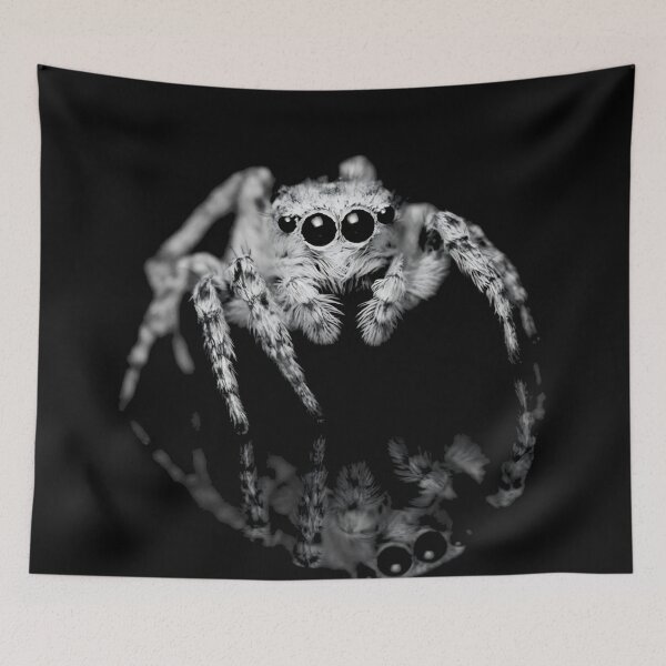 Item preview, White Jumping Spider Art designed and sold by NF Designs Studio DTF.