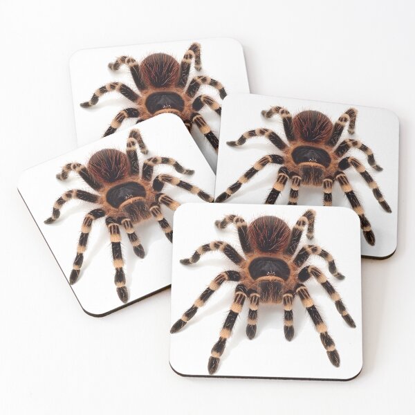 Item preview, Araña Tarantula designed and sold by NF Designs Studio DTF.