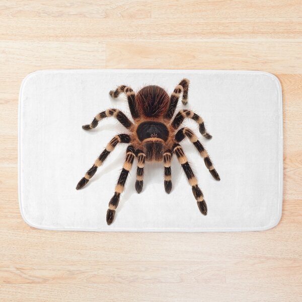 Item preview, Tarantula spider designed and sold by NF Designs Studio DTF.