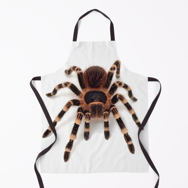 Item preview, Tarantula spider designed and sold by NF Designs Studio DTF.