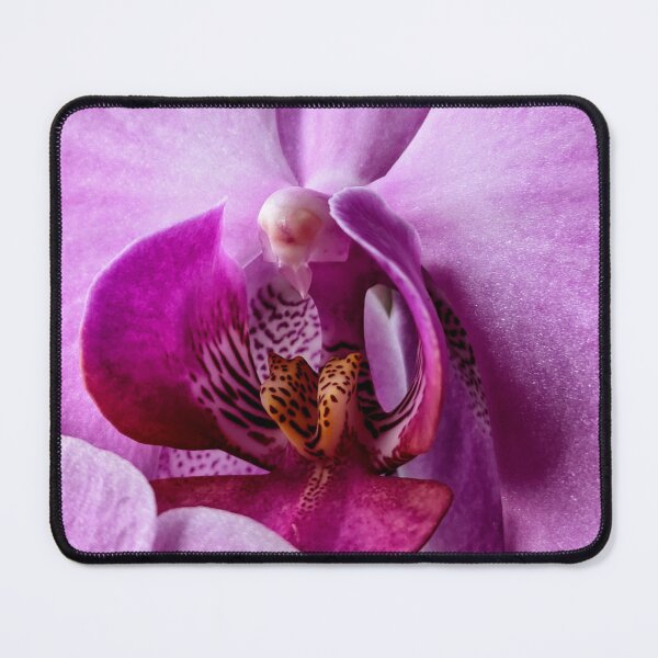 Item preview, Phalaenopsis Up Close and Personal designed and sold by Teddy-FauxBear.