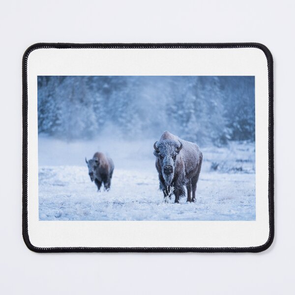 Item preview, American Bison in Winter Snowstorm – Majestic Wildlife Photography designed and sold by JohnManuelPhoto.