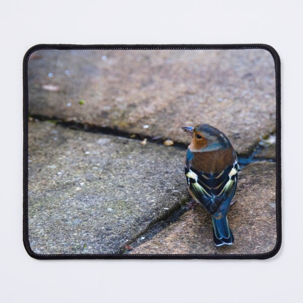 Item preview, European Chaffinch designed and sold by CCWorkfloor.